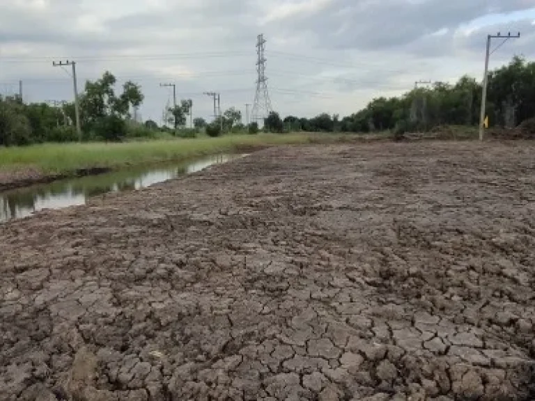 ขายด่วนที่ดินคลอง11 หนองเสือ ปทุมธานี พร้อมน้ำไฟ