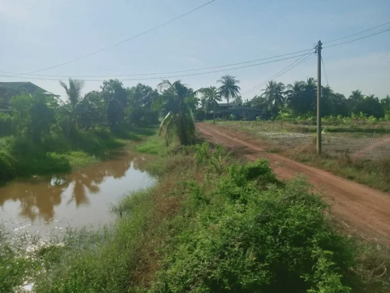 ขายที่ดิน 15 ไร่ ติดคลอง บึงโขล่ ใกล้แยกไผ่ดำ อบางน้ำเปรี้ยว จฉะเชิงเทรา