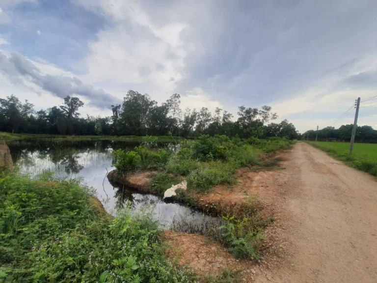 ขายที่ดิน 6 ไร่ ราคาไร่ละ 600000 บาท ใกล้แยกนาน้อย 3 - กม อพนมสารคาม จฉะเชิงเทรา