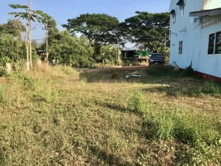 ด่วน ขายบ้านพร้อมที่ดิน จังหวัดเพรชบูรณ์