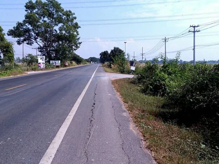 ขายที่ดิน 97 ไร่ ติดถนนห่างตัวเมืองพิจิตรประมาณ 20 โล