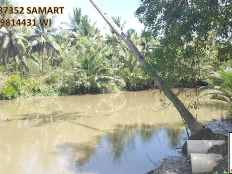 ที่ดิน 1 ไร่เศษ โคตรสวย โคตรคลองใหญ่ นางตะเคียน ติดลาดยาง สวยจัดๆ