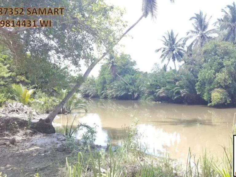 ที่ดิน 1 ไร่เศษ โคตรสวย โคตรคลองใหญ่ นางตะเคียน ติดลาดยาง สวยจัดๆ