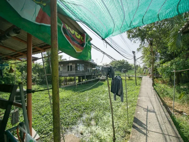 ขาย ที่ดิน ซเทพกุญชร 131 ตรงข้าม มธรรมศาสตร์ เชียงรากน้อย ปทุมธานี