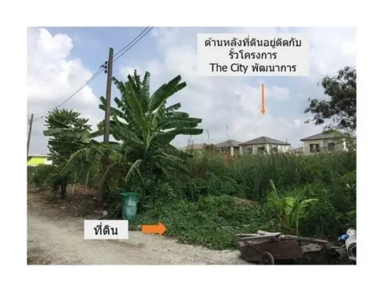 ขายที่ดิน ซอยอ่อนนุช  พัฒนาการตัดใหม่ อ่อนนุช 701 แยก 2-17 ขนาดพื้นที่ดิน 180 ตรวา