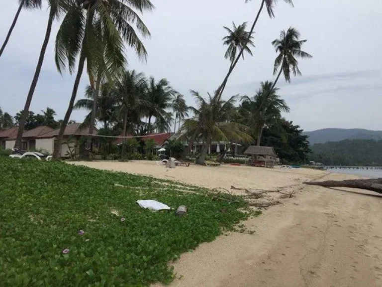 ขายที่ดินสวยหาดส่วนตัว ติดทะเล เกาะสมุย 5ไร่