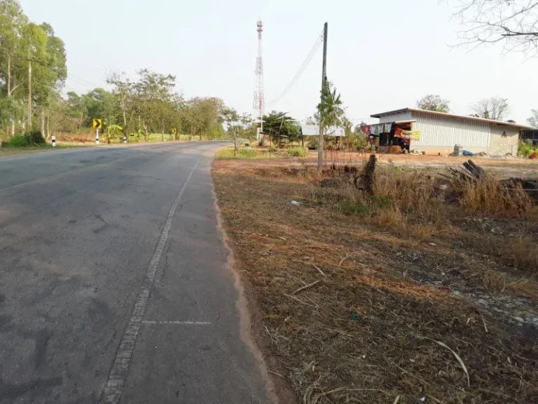 ที่ดินสวนป่า ติดถนนทลแผ่นดิน อหนองแสง แหล่งท่องเที่ยวอุดรธานี