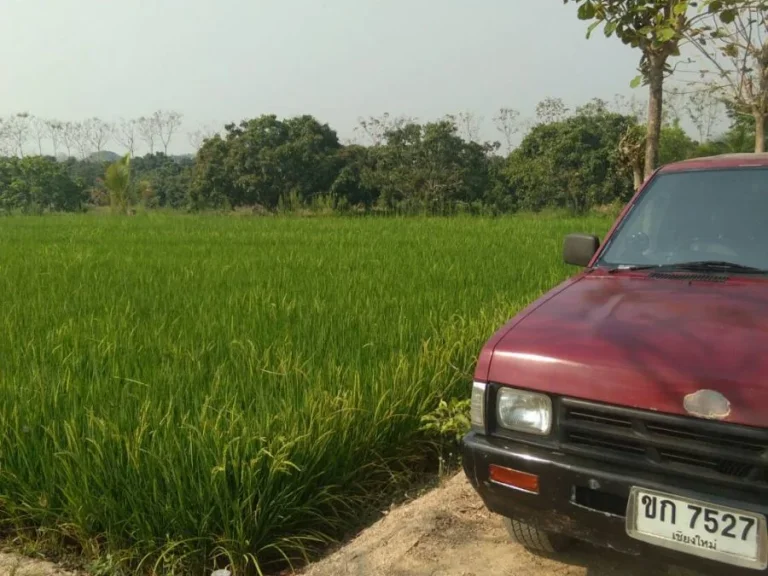 ขายที่นา บ้านหนองดู่ อป่าซาง จลำพูน