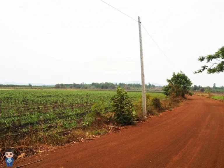 ที่ดิน 88 ไร่ ราคาถูก เหมาะสำหรับทำบ้านจัดสรรหรือเกษตร จสระแก้ว