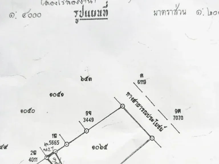 ขายที่ดินเปล่า 2 ไร่ 200 ตรว ใกล้ถนนพุทธมณฑลสาย5 ไร่ขิง สามพราน นครปฐม LA0133