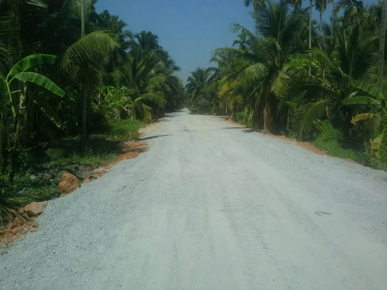 ขายที่ดินสามพราน ที่สวน 65 ไร่ บรรยากาศดี ทางเข้าวัดหอมเกร็ด ถนนพุทธมณฑลสาย7 เจ้าของขายเอง