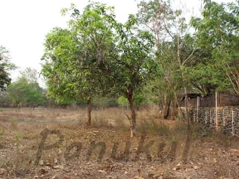 ราคาคุยได้ ขนาดที่ดิน 6 ไร่ มีรั่ว 2 ด้าน