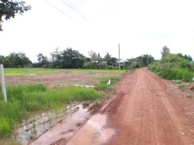 ขายที่ดินจเพชรบูรณ์ใกล้ถนนสาย21 เพชรบูรณ์-สระบุรีตบ้านโภชน์ บคลองไพร