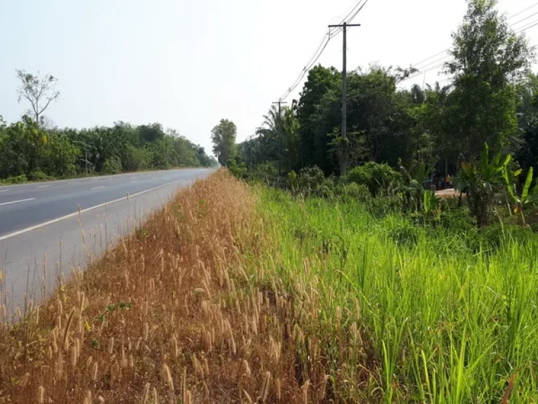 ที่ดิน ใกล้ทางหลวงสายกระบี่-กาญจนดิษฐ์ ถนนทางหลวง 401 กาญจนดิษฐ์ สุราษฎร์ธานี