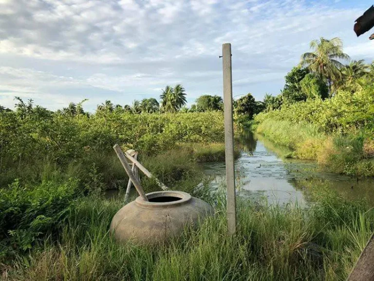 ขายที่ดิน 3 ไร่ ตอ้อมใหญ่ อสามพราน จนครปฐม