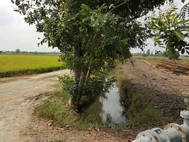 ขายที่ดินติดถนนใหญ่ โพธิ์พระยา  อ่างทอง 2