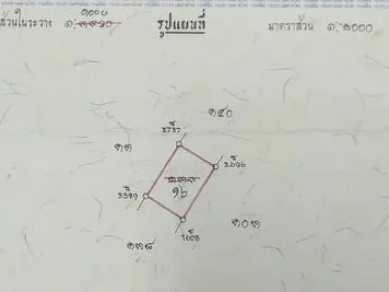 ขายที่ดิน 379 ตารางวา สี่เหลี่ยมจตุรัส