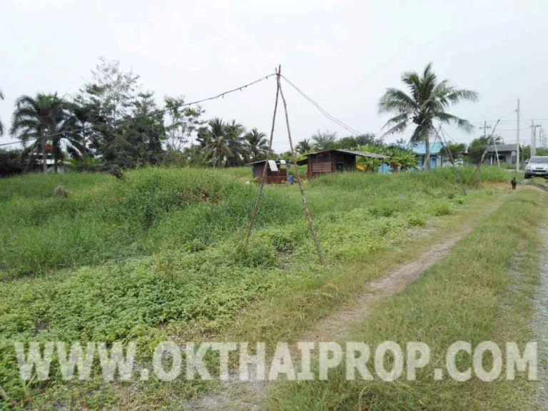 ที่ดินเปล่า 50 ตรว ถคลองเจ้า ทวีวัฒนา ไทรน้อย นนทบุรี