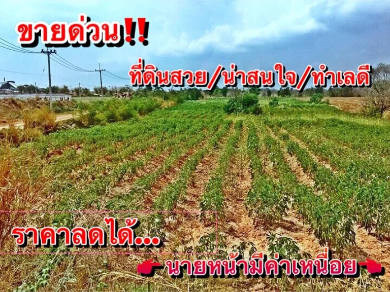 ขายที่ดินสวยๆ ราคาไม่แพงเจ้าของขายเอง ติดโรงงานแป้งมัน ตท่ากูบ อซับใหญ่ จชัยภูมิ