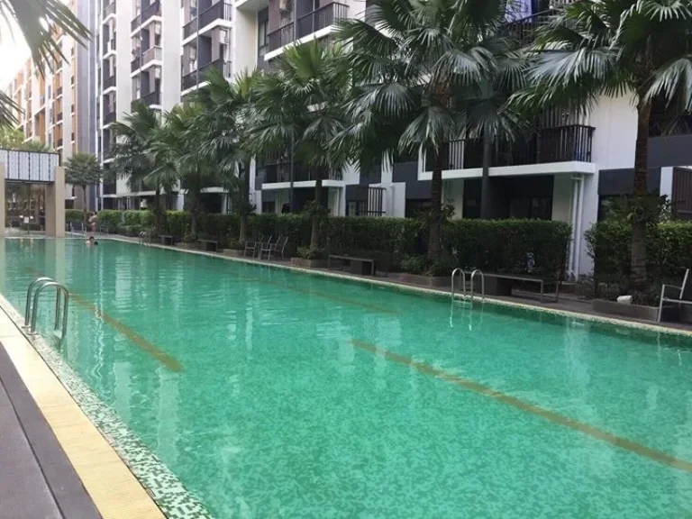 CR3057Room For Rent ให้เช่า I Condo Sukhumvit 105 8000month