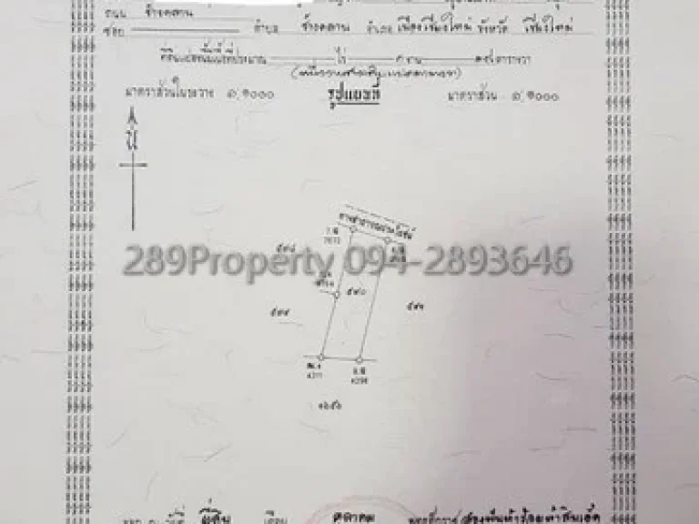 ขายที่ดินสันผักหวาน ไม่ไกลเมือง ติดถนน 2 ด้าน ขายราคาถูก พร้อมโอน