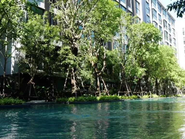 ให้เช่าคอนโดวีธารา 36 สุขุมวิท 36 For Rent VTARA 36 Sukhumvit 36 BTS ทองหล่อ