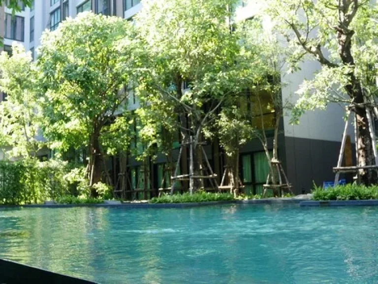 ให้เช่าคอนโดวีธารา 36 สุขุมวิท 36 For Rent VTARA 36 Sukhumvit 36 BTS ทองหล่อ