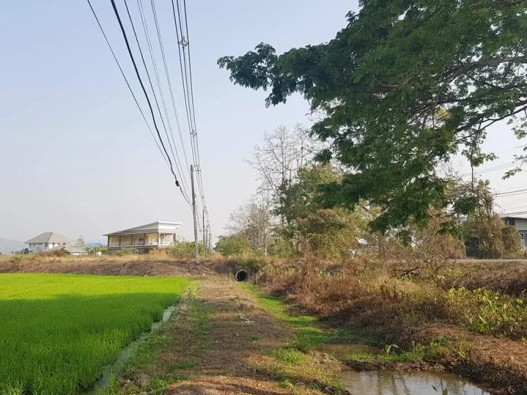 ขายที่นาหน้าติดถนนหลัก หลังติดเขา สันทราย