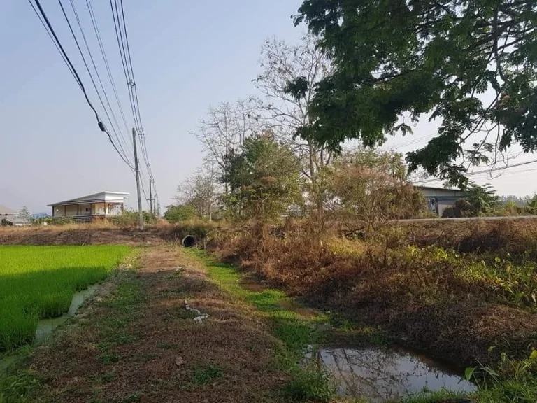 ขายที่นาหน้าติดถนนหลัก หลังติดเขา สันทราย