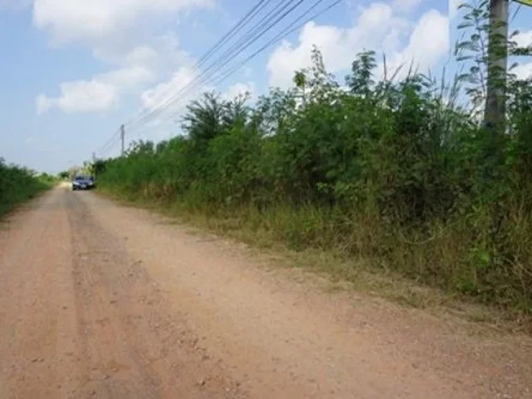 ขาย ที่ดิน ตลำไทร อลำลูกกา จังหวัดปทุมธานี เนื้อที่ 300 ตรว