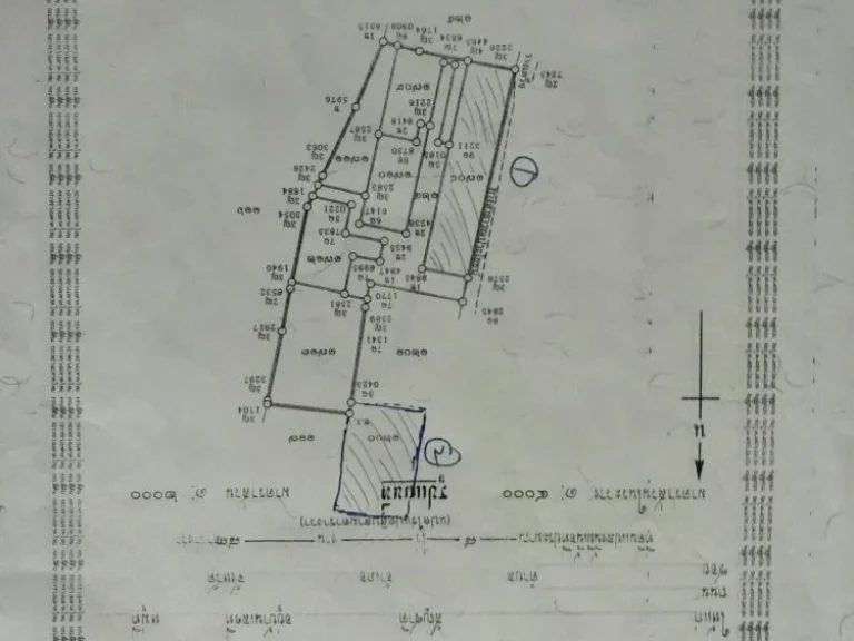 ขายที่ดิน 2ไร่ ใกล้นิคมโรจนะ ตรงข้ามโลตัสโรจนะ