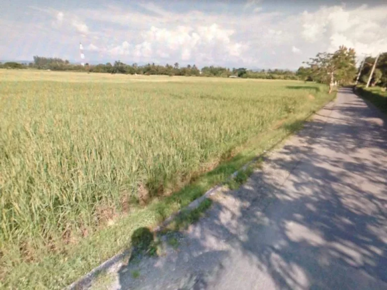 ขายที่ดินห่างที่ว่าการอำเภอดอยสะเก็ต 64 km