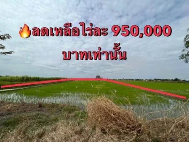 ขาย ที่ดิน AP-P 122 คลอง 8 หนองเสือ 1 ไร่ ที่ดินราคาถูก