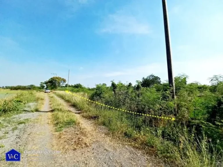 ที่ดินเปล่า คลองสี่ 300 ตรว คลองสี่ ปทุมธานี