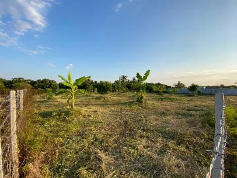 ที่สวนผลไม้ วิวดี 200ตรว เชียงใหม่สันป่าตอง