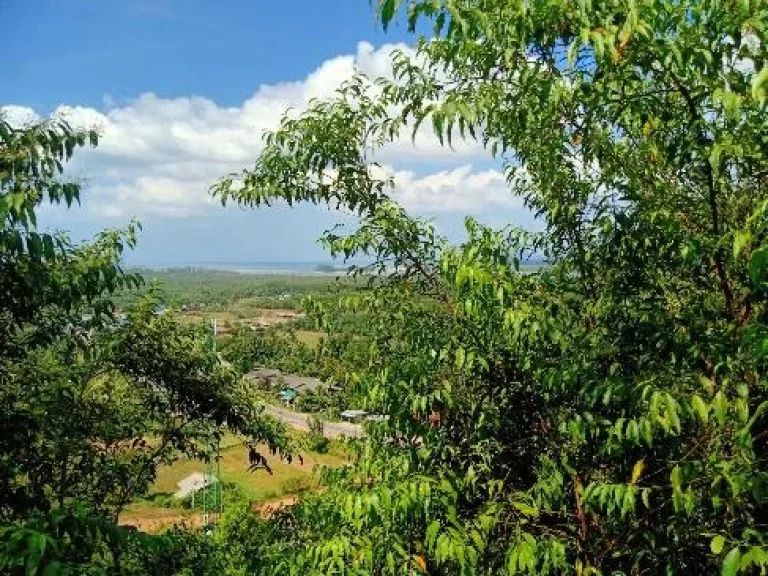 Sea View Land in Koh Lanta Noi ที่ดินซีวิว เกาะลันตาน้อย