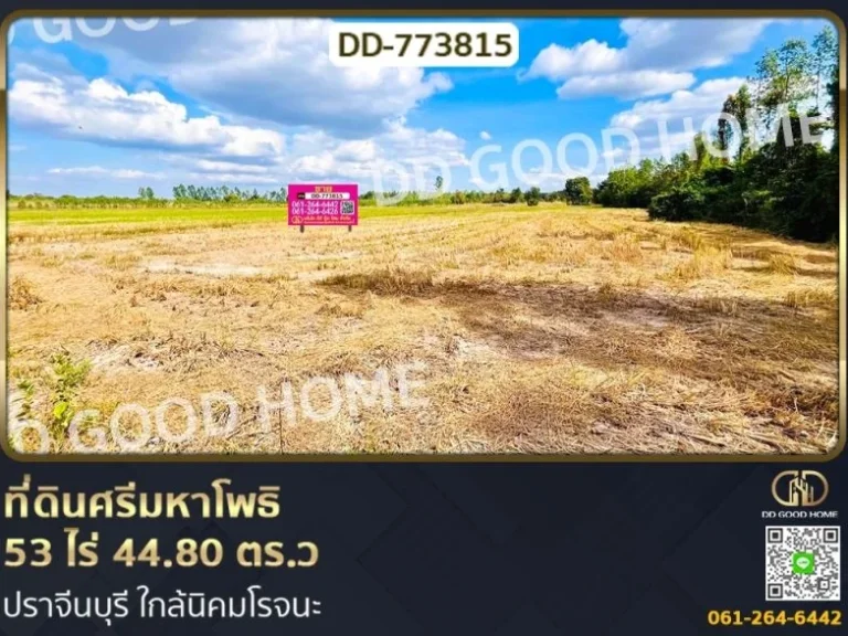 ที่ดินศรีมหาโพธิ 53 ไร่ 4480 ตรว ปราจีนบุรี ใกล้นิคมโรจนะ