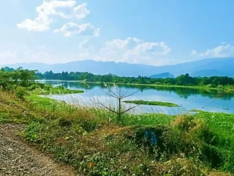 ขายที่ดินบ้านแม่สอย ติดน้ำปืงวิวดอยโฉนดพร้อมโอน