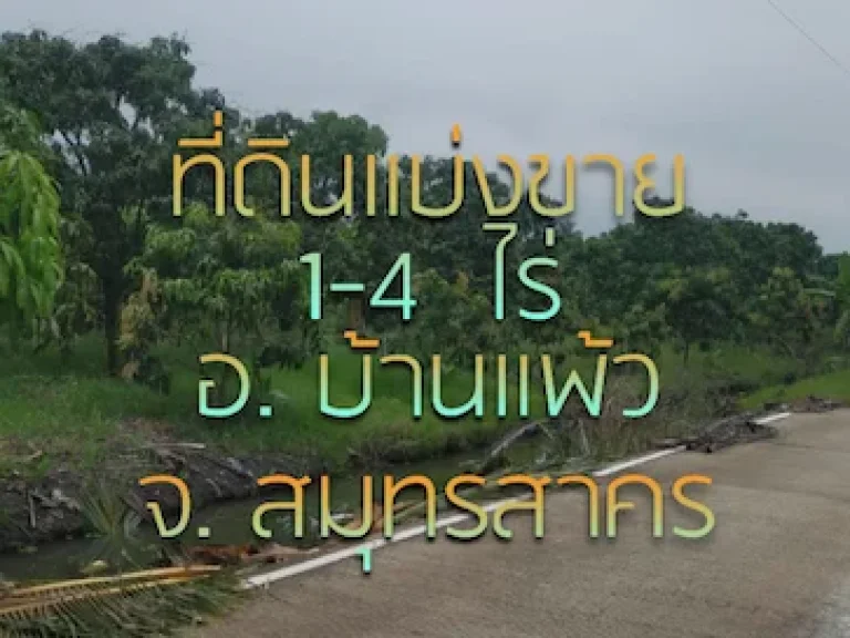 ที่ดินแบ่งขาย 1-4 ไร่ 13 กมถึง ถเส้นหลัก บ้านแพ้ว-นครปฐม ใกล้ อบต และ ปตท บ้านแพ้ว จสมุทรสาคร