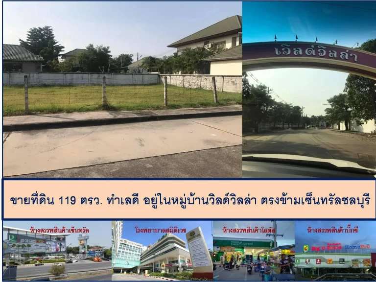 ขายที่ดิน 119 ตรว ทำเลดี อยู่ในหมู่บ้านวิลด์วิลล่า ตรงข้ามเซ็นทรัลชลบุรี