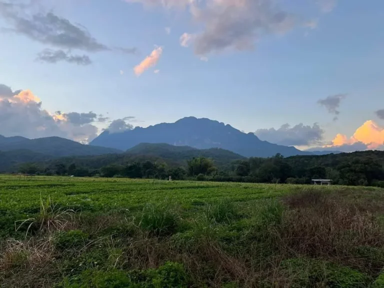 ขายที่ดินบ้านแม่นะ เชียงดาว วิวดอยหลวง โฉนด