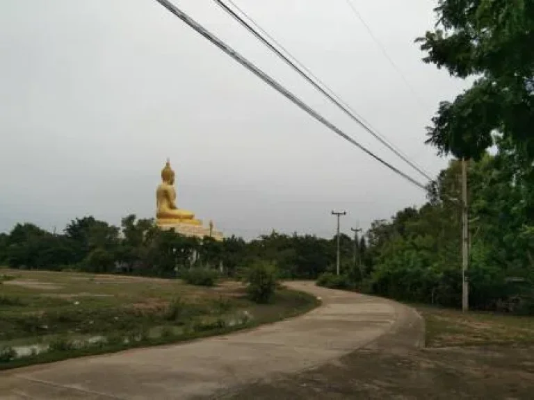 ขาย ที่ดิน สวย ถมแล้ว ที่สวย ใกล้หาดเจ้าสำราญ 6 ไร่ 3 งาน 83 ตรวา ราคาถูกมาก