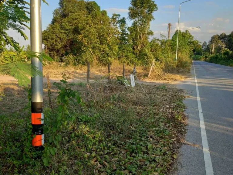 ขายที่ดินติดถนนทางหลวงชนบท 1 ไร่ ตวังหิน อบ้านไร่ จอุทัยธานี