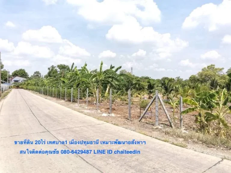 ขายที่ดิน 20ไร่ ตำบลบางหลวง เมืองปทุมธานี