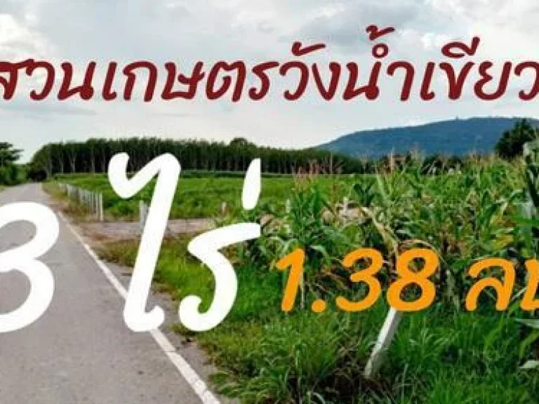 ที่ดินสวนเกษตร วังน้ำเขียว 3 ไร่ ติดถนนดำ ใกล้อ่างห้วยกระบอก