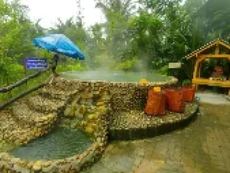 Land with Natural Onsen business Hot spring water