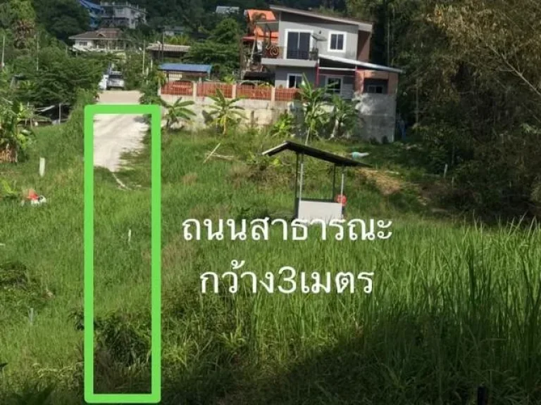 For Sales Land at Patong Size 325 sqm