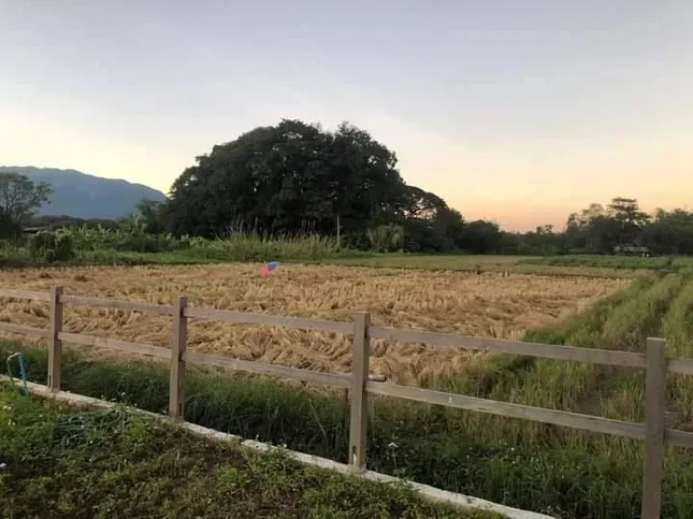 ขายที่นา วิวดอยหลวง ติดลำเหมือง แถวมะขามป้อม