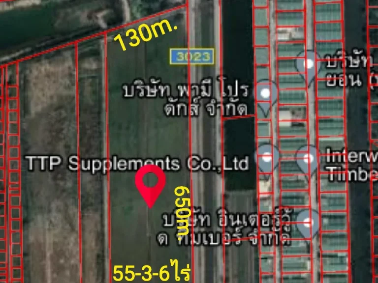 ขายที่55-3-6ไร่หน้ากว้าง650mติดถนนเรียบคลอง11ฝังตะวันตก ธัญบุรี