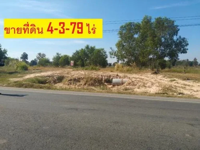 ขายที่ดิน 4-3-79 ไร่ ตหนองจิก อบรบือ จมหาสารคาม